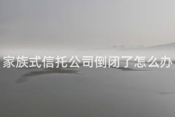 家族式信托公司倒闭了怎么办