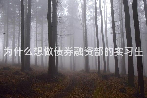 为什么想做债券融资部的实习生