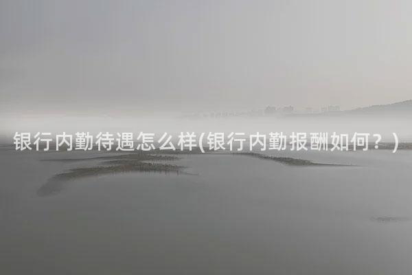 银行内勤待遇怎么样(银行内勤报酬如何？)