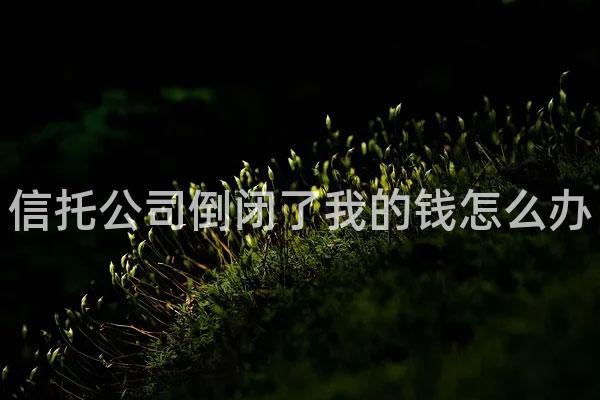 信托公司倒闭了我的钱怎么办