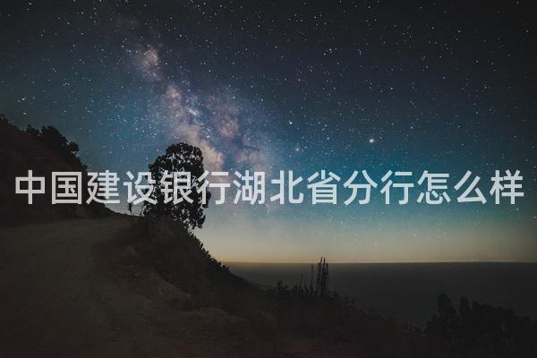 中国建设银行湖北省分行怎么样