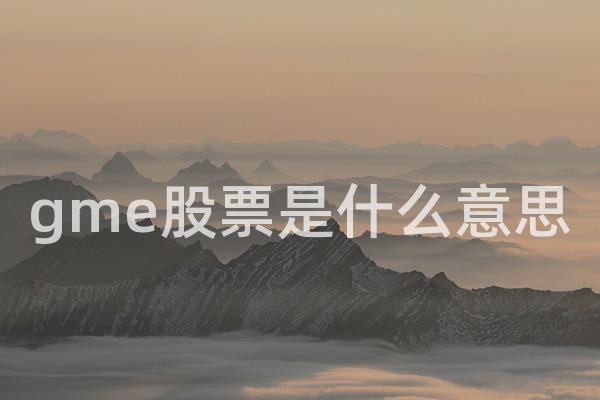 gme股票是什么意思