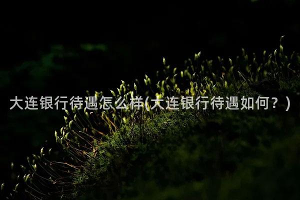 大连银行待遇怎么样(大连银行待遇如何？)