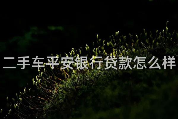二手车平安银行贷款怎么样