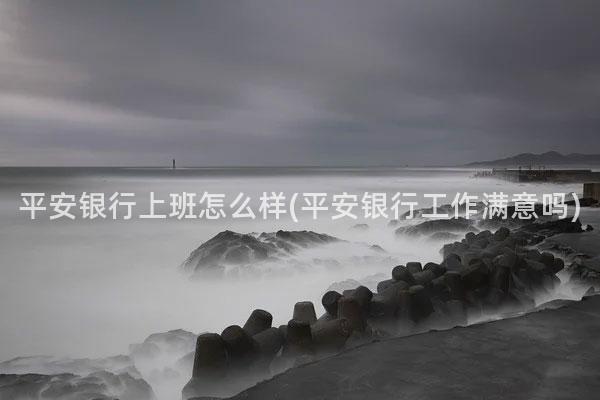 平安银行上班怎么样(平安银行工作满意吗)