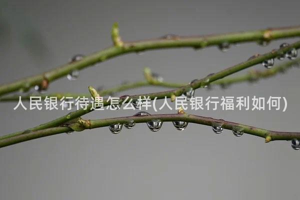 人民银行待遇怎么样(人民银行福利如何)