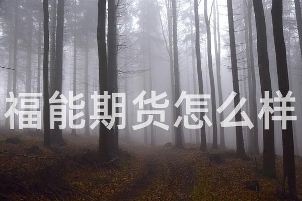 福能期货怎么样