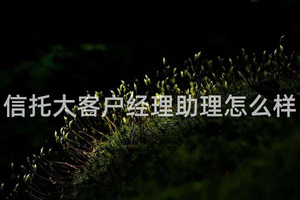 信托大客户经理助理怎么样
