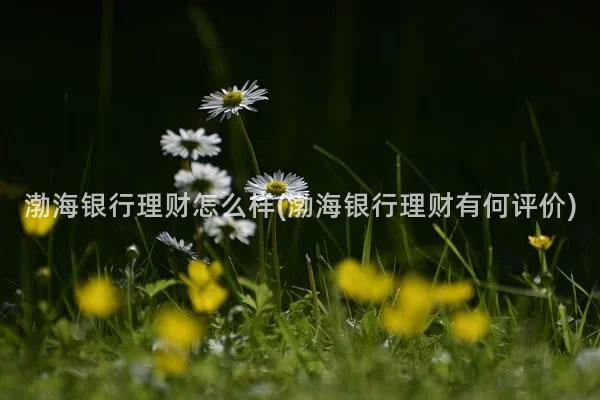 渤海银行理财怎么样(渤海银行理财有何评价)