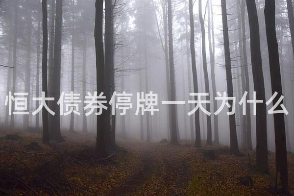 恒大债券停牌一天为什么