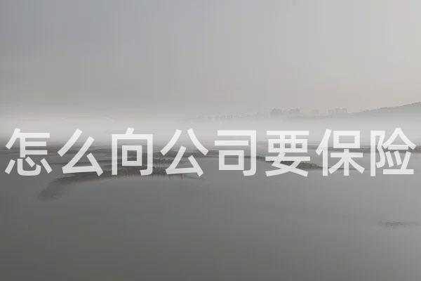 怎么向公司要保险