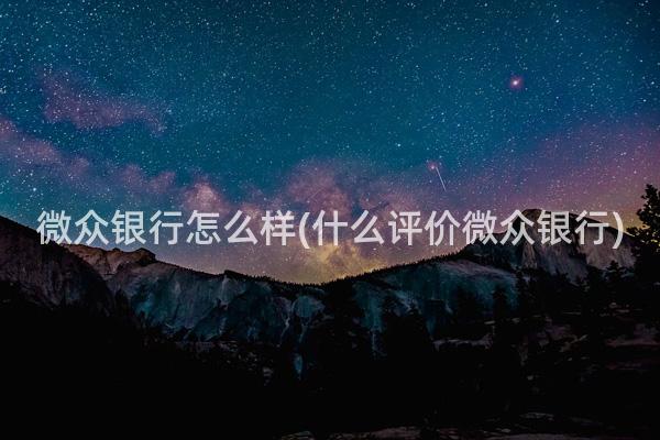 微众银行怎么样(什么评价微众银行)