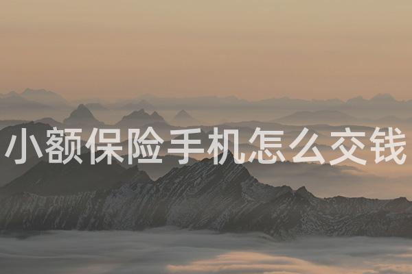 小额保险手机怎么交钱