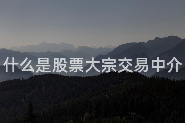 什么是股票大宗交易中介
