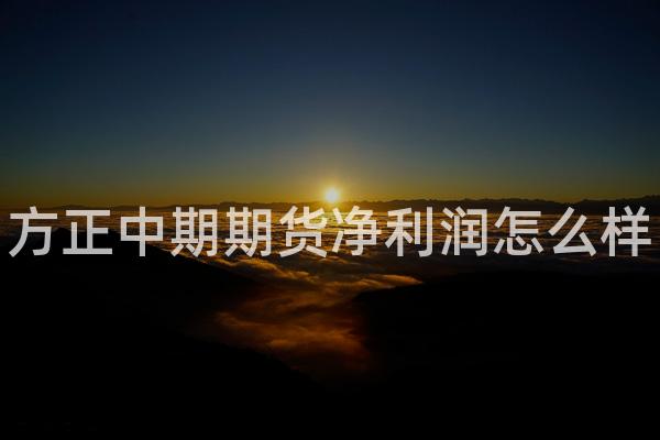 方正中期期货净利润怎么样