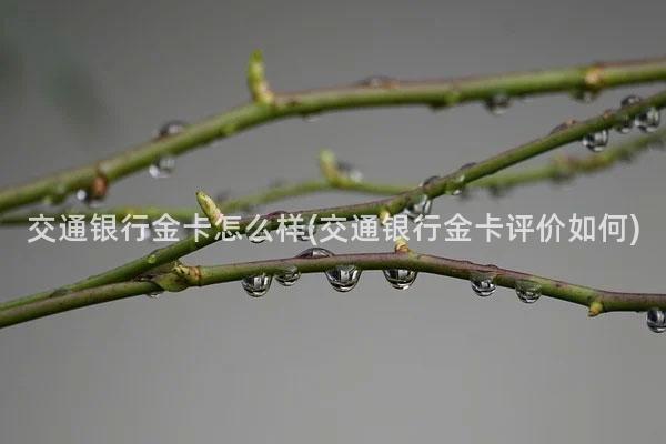 交通银行金卡怎么样(交通银行金卡评价如何)