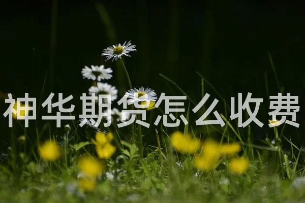 神华期货怎么收费