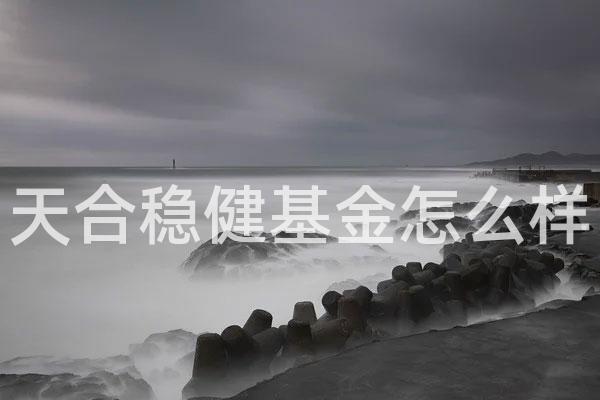 天合稳健基金怎么样