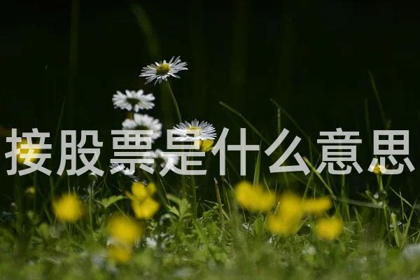 接股票是什么意思