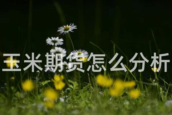 玉米期货怎么分析