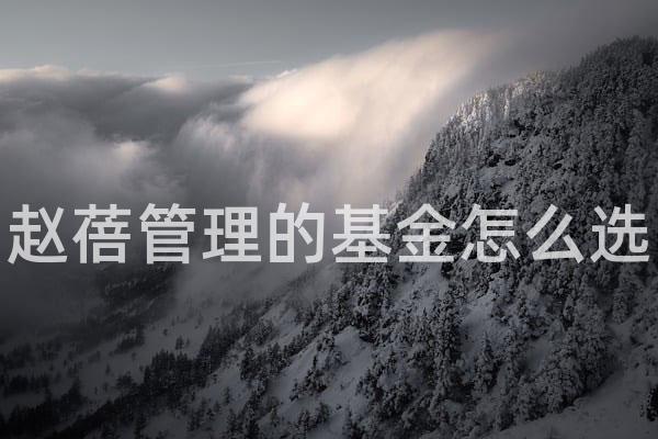 赵蓓管理的基金怎么选