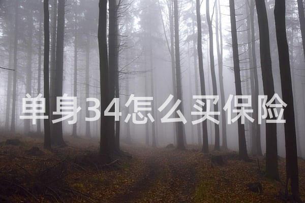 单身34怎么买保险
