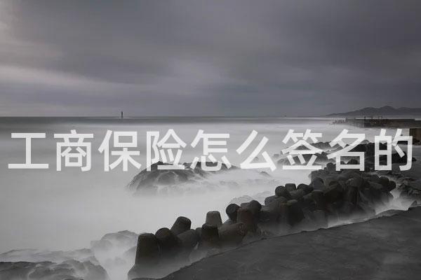 工商保险怎么签名的