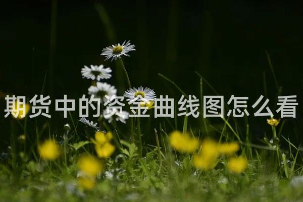 期货中的资金曲线图怎么看