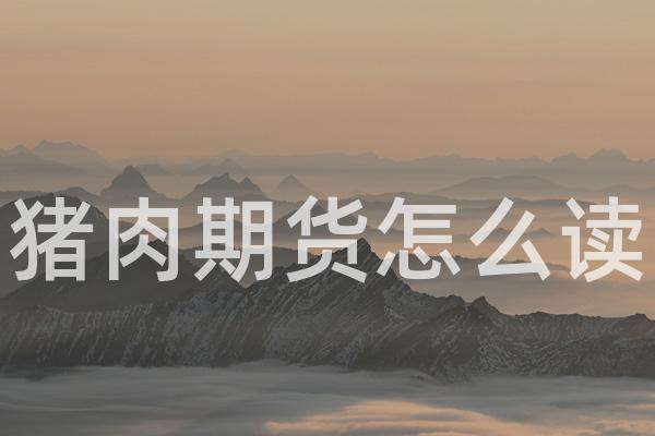 猪肉期货怎么读