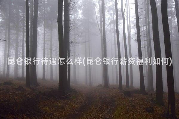 昆仑银行待遇怎么样(昆仑银行薪资福利如何)