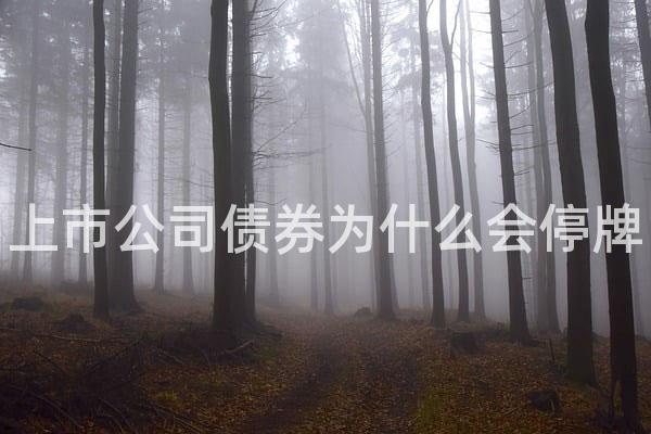 上市公司债券为什么会停牌