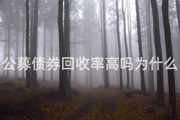 公募债券回收率高吗为什么