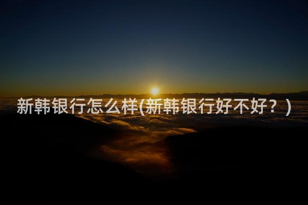 新韩银行怎么样(新韩银行好不好？)