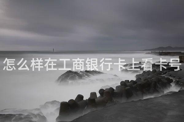 怎么样在工商银行卡上看卡号