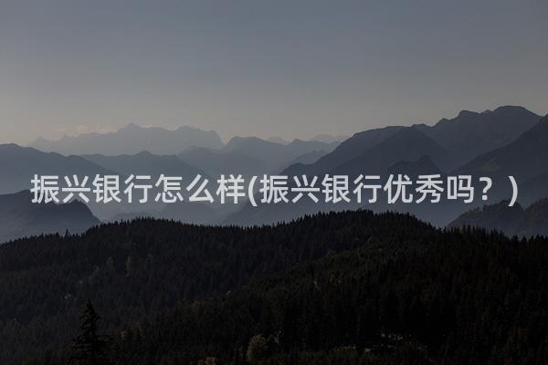 振兴银行怎么样(振兴银行优秀吗？)