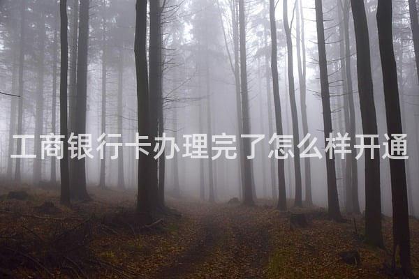 工商银行卡办理完了怎么样开通