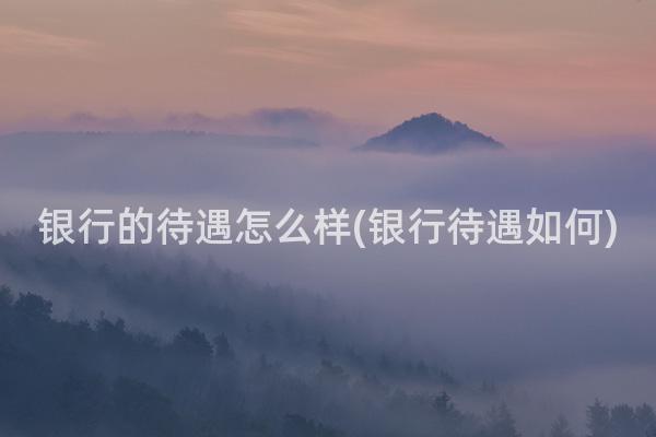 银行的待遇怎么样(银行待遇如何)