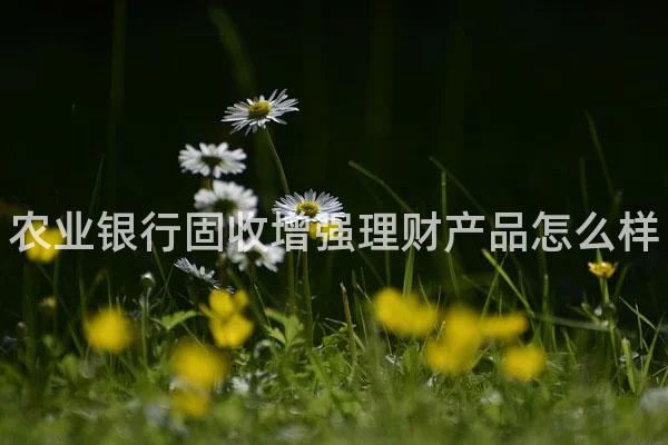 农业银行固收增强理财产品怎么样