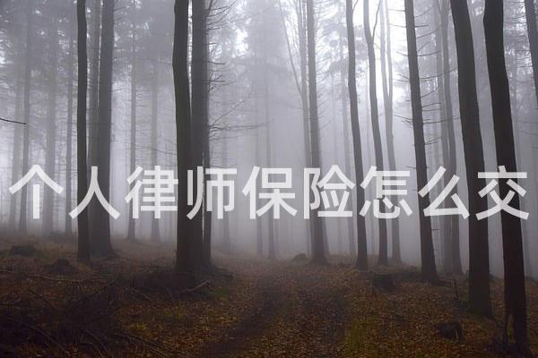 个人律师保险怎么交