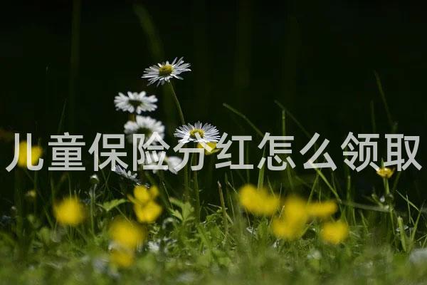 儿童保险分红怎么领取