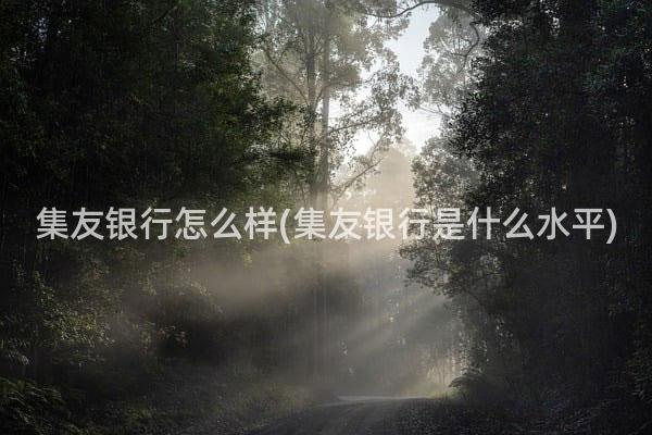 集友银行怎么样(集友银行是什么水平)