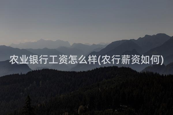 农业银行工资怎么样(农行薪资如何)