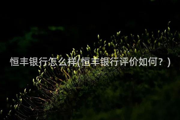 恒丰银行怎么样(恒丰银行评价如何？)