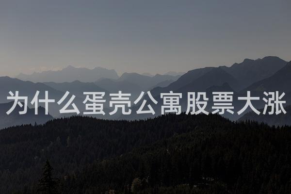 为什么蛋壳公寓股票大涨