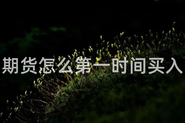 期货怎么第一时间买入