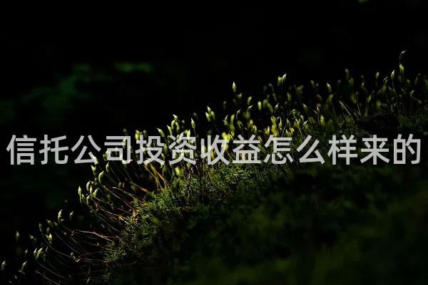 信托公司投资收益怎么样来的
