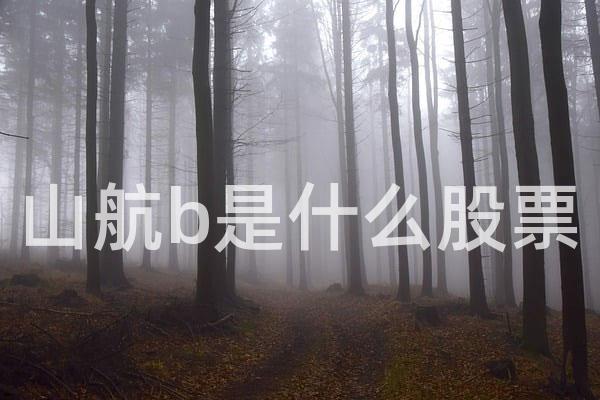 山航b是什么股票