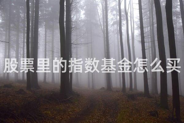 股票里的指数基金怎么买