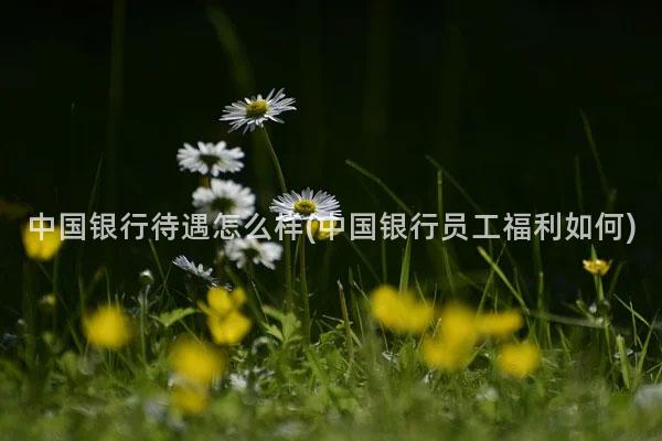 中国银行待遇怎么样(中国银行员工福利如何)
