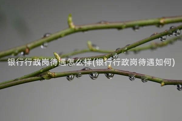 银行行政岗待遇怎么样(银行行政岗待遇如何)